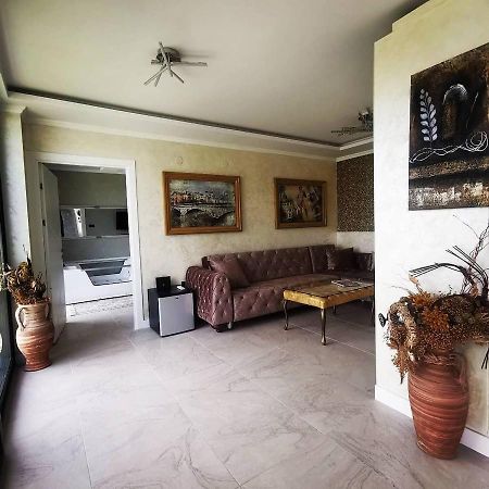 Lux Vila Aleksandar Sremska Kamenica Esterno foto